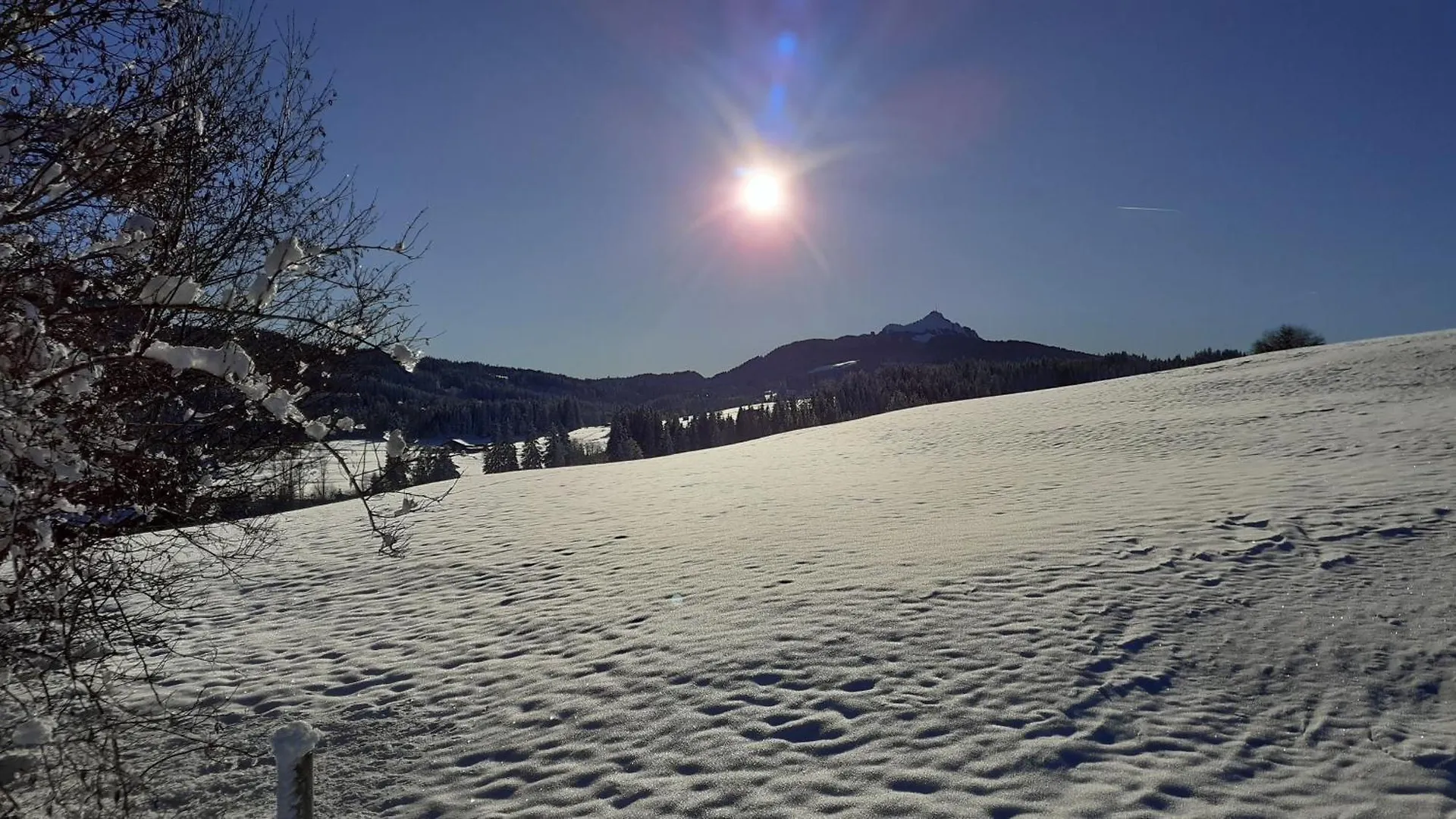 Ferienwohnung Mit Dampfbad Wertach